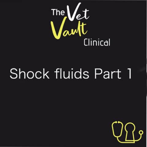 VV Clinical: Fluid therapy for shock, part 1. With Dr. Rob Webster.