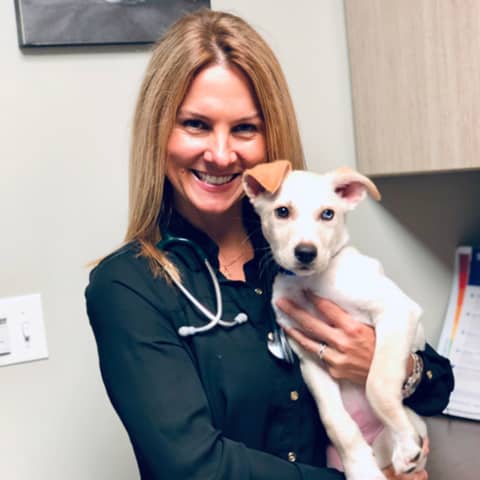 #36: The pursuit of guilt-free practice ownership. With Dr Kathy Anderson.