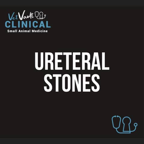 Ureteral stones. Yes - it's a thing! With Dr Dave Collins.
