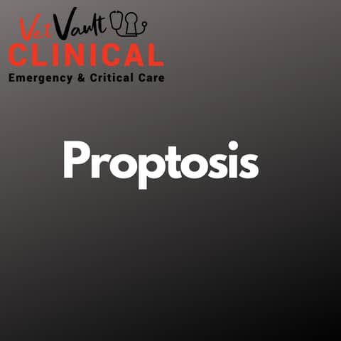 Ocular emergencies: Proptosis. Wit Dr Izak Venter