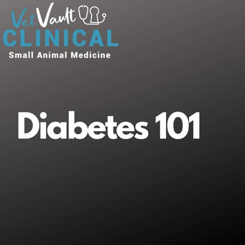 Diabetes 101: Everything insulin