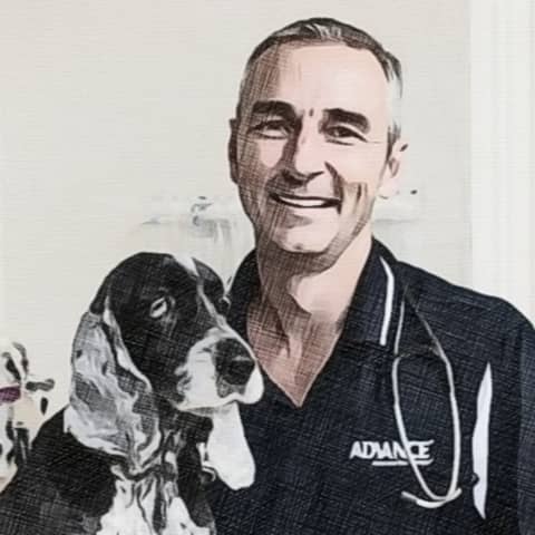 #82: If it is to be: Dr Michael Archinal on choosing your own adventure, a side-career in media, remote indigenous dog health, and using gratitude as a shield.