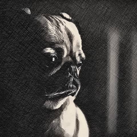 #86: Demystifying inflammatory brain disease. With Dr Sam Long