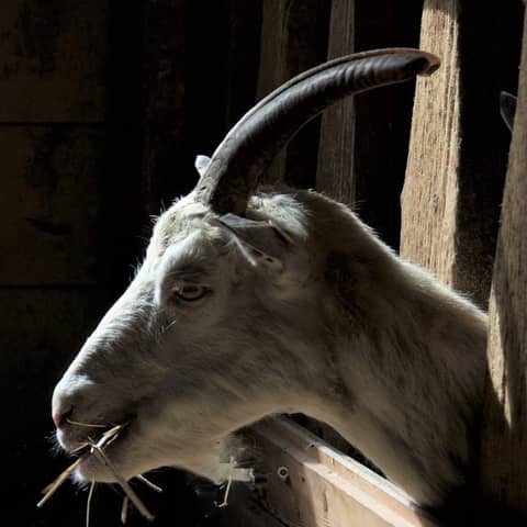 Double Trouble - Episode 2: Crisis at work / The flood