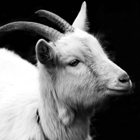 Double Trouble - Episode 4: Nick learns a lesson