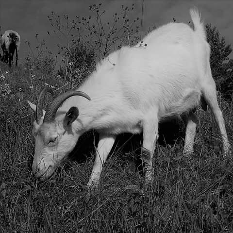 Double Trouble - Episode 6: Timothy learns a lesson