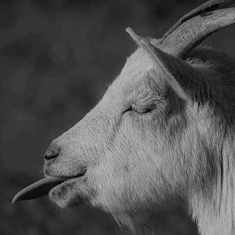 Double Trouble - Episode 8: On set