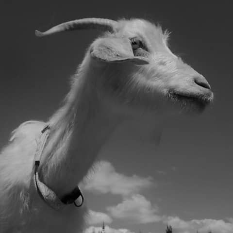 Double Trouble - Episode 9: Jemima finds out