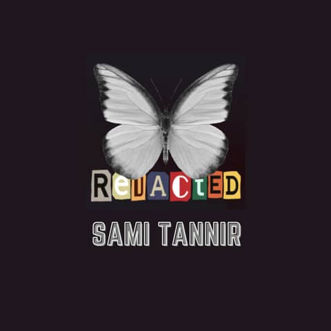 Mission DeFi - EP 36 - Sami Tannir & the team at Redacted are taking ve / Curve wars and rebase tokens to an new level