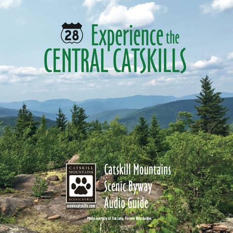 Voices from the Central Catskills