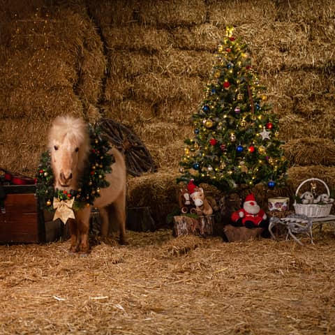 Bizarre Christmas Traditions Around The World