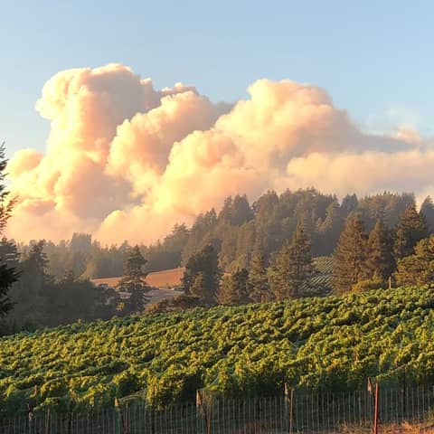 Wine Country Wildfires: the ungovernable State of California