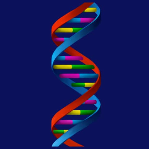 DNA, Ancestry, Roots, Databases: The Darkside to your Christmas present.