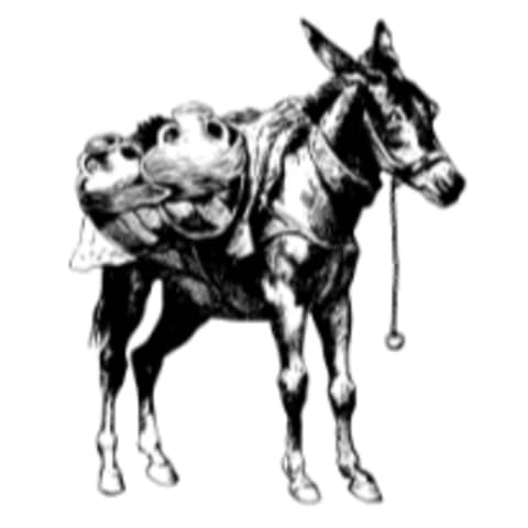 Culper's Canteen Cup Bonus Content Bagatelle Poet