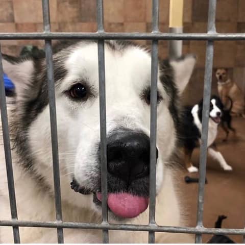 Culper's Canteen Cup S01E79