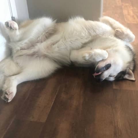 Culper's Canteen Cup S01E82