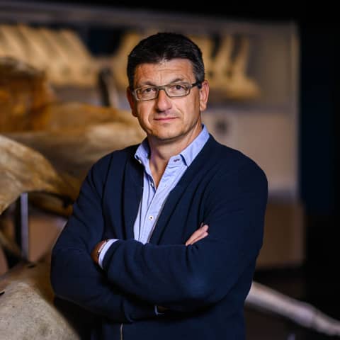 The End of Evolution the nature of life and Biodiversity, with Prof. Dr. Matthias Glaubrecht