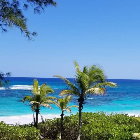 Episode 2: Into The Blue(Dreams That Heal)