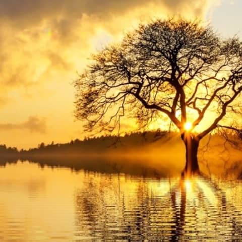 Minisode 5.1: #DestinyStrong