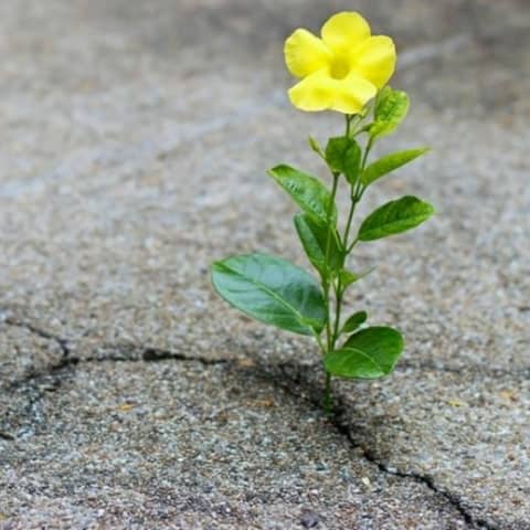 Episode 11: Just Trying To Get By(Poetry Moment)