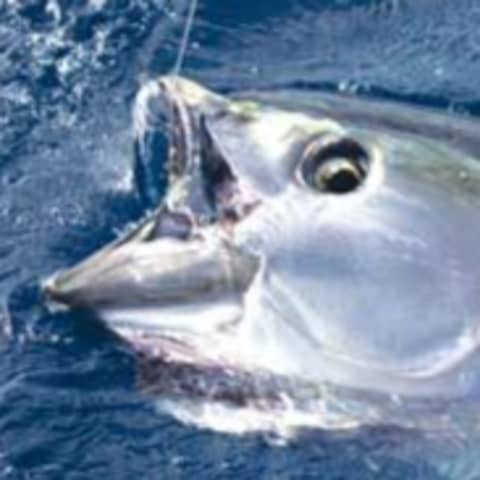 Our First Client: Favorite Ethnic Foods