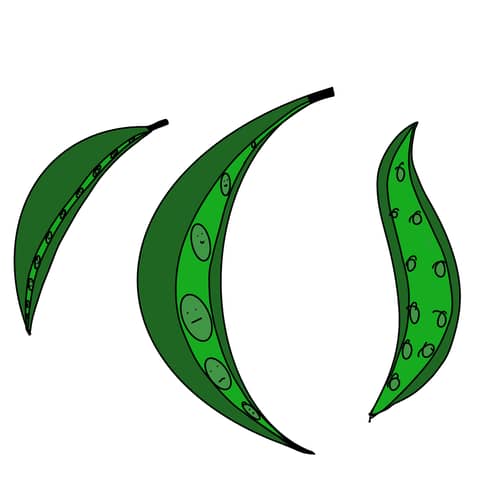 Herned ei lähe kotti