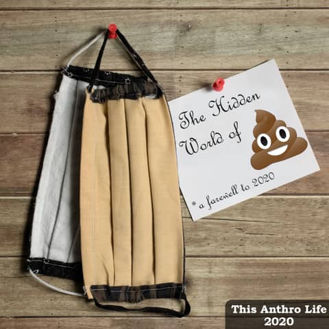 The Hidden World of Sh*t (a farewell to 2020)