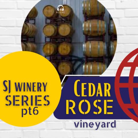 South Jersey Wineries pt6 🍇 Our Best Wines