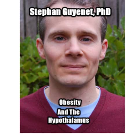 Obesity and the Hypothalamus with Stephan Guyenet, PhD