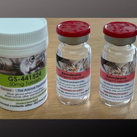 FIP Update: Everything you need to know about Remdesivir, with Dr Sally Coggins