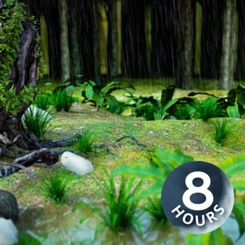 Fall Asleep to Soothing Rain Sounds White Noise 8 Hours