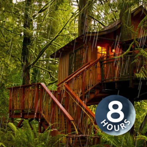 Sleeping Sounds of Rain in Forest Falling upon Treehouse | 8 Hours