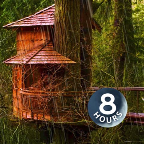 Noise of Rain for Sleep | Storm Sounds in Woods White Noise 8 Hours