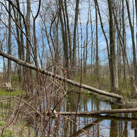 66. Spring To Do List