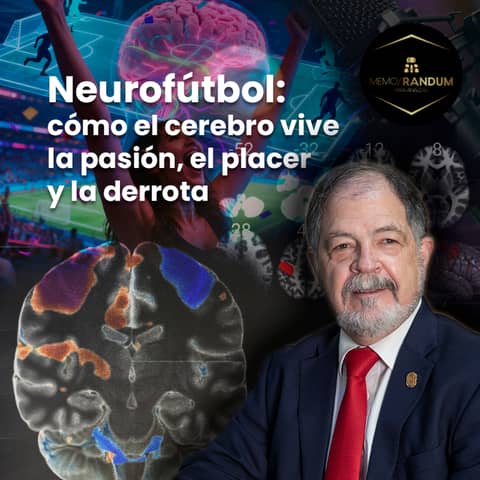 Neurofútbol: cómo el cerebro vive la pasión, el placer y la derrota.