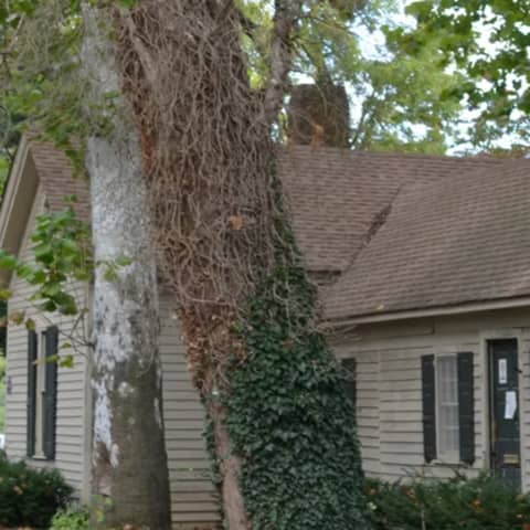 Historic Nail House in Bridgeton NJ