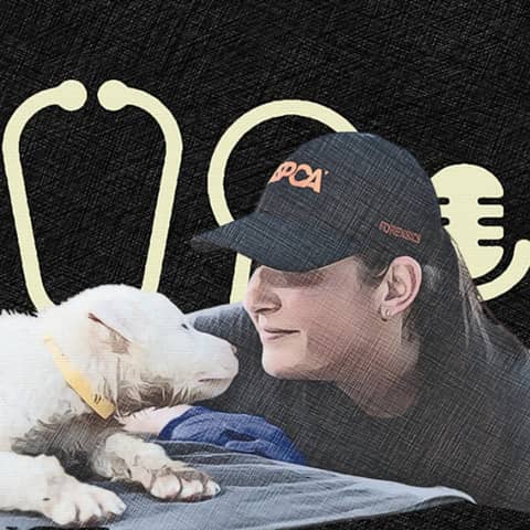 #119: You’re Already a Forensic Vet - You Just Didn’t Know It: How to Get Better at It, and Why It Matters. With Dr Elizabeth Pearlman