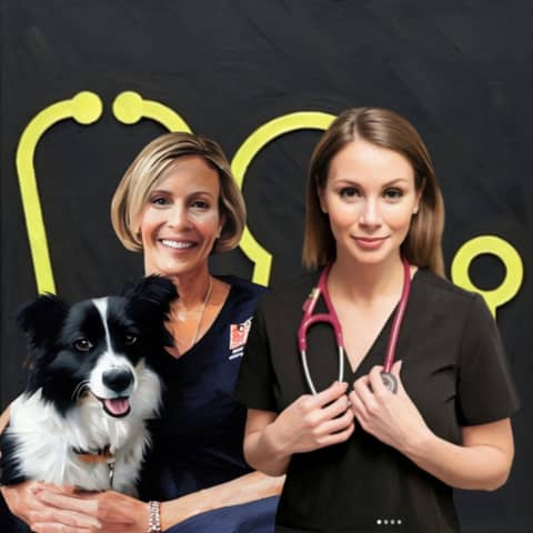 #130: The Joyful Emergency Vet: Essential Strategies For A Long And Happy Career In Emergency Veterinary Practice. With Dr Brooke Schampers and Dr Taleta Hompas