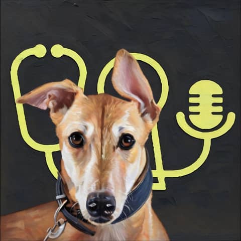 🔓 Anesthesia-Associated Hyperkalemia. (Or, That Thing That Greyhounds Do When You Anesthetise Them) With Dr Stacey Jones