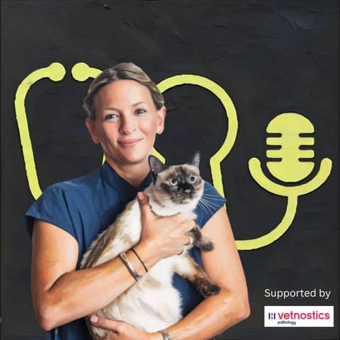 🔓Clinical: Feline Anaemia: What You’ve Been Missing — with Dr Rachel Korman