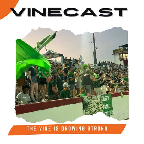 The Vine is growing strong