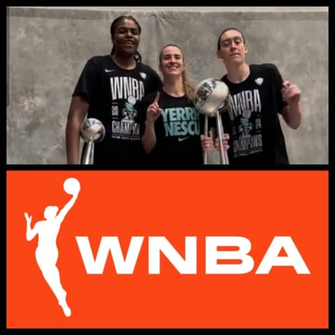 2024 WNBA Finals Review