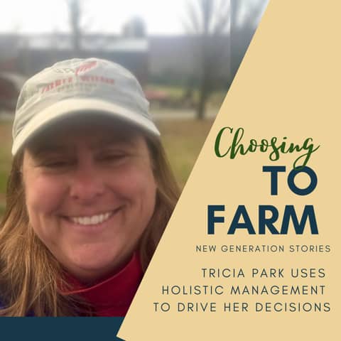 Tricia Park Uses Holistic Management to Drive Her Decisions
