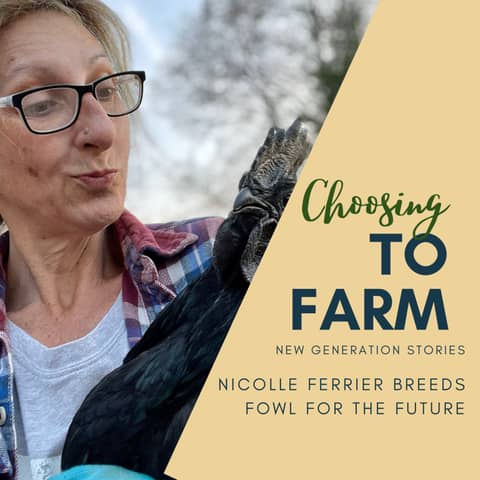 Nicolle Ferrier Breeds Fowl for the Future