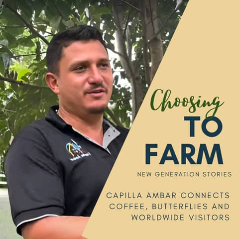 Capilla Ambar Connects Coffee, Butterflies and Worldwide Visitors
