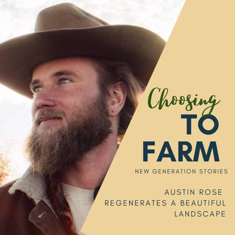 Austin Rose Regenerates a Beautiful Landscape