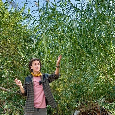 The LA River with Kat Superfisky