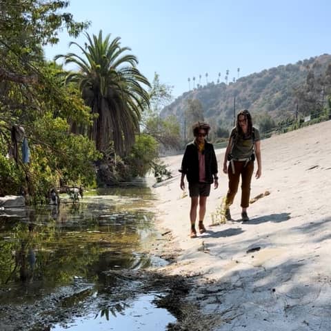 Symbiotic Cities with Kat Superfisky