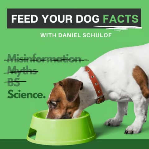 Exploring GLP-1s: A New Frontier in Pet Health