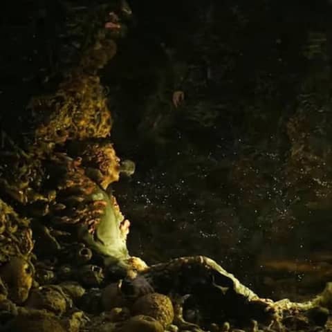 The Last of Us Season 2 Episode 5 - Fandom Hybrid Podcast #356